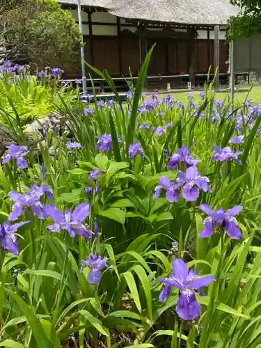 横浜　西方寺(神奈川県)