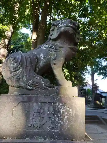 中野氷川神社の狛犬