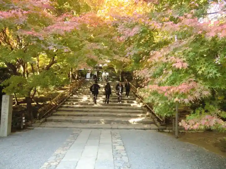 龍安寺(京都府)