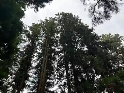 大宮温泉神社(栃木県)