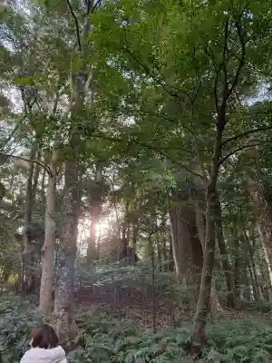 伊勢神宮内宮（皇大神宮）の{uncategorized: "未分類", other: "その他", undefined: "問題あり", building: "その他建物", grave: "お墓", sacred_gate: "鳥居", guardian: "狛犬", statue: "像", buddha: "仏像", history: "歴史", nature: "自然", garden: "庭園", animal: "動物", pagoda: "塔", temizu: "手水舎", mountain_gate: "山門・神門", sanctuary: "本殿・本堂", subordinate: "末社・摂社", art: "芸術", scenery: "景色", jizo: "地蔵", ema: "絵馬", goshuin: "御朱印", omikuji: "おみくじ", items: "授与品その他", amulet: "お守り", goshuincho: "御朱印帳", eats: "食事", festival: "お祭り", votive_dance: "神楽", shichigosan: "七五三参", wedding: "結婚式", experience: "体験その他", initially: "初詣", around: "周辺", anti_infection: "感染症対策"}