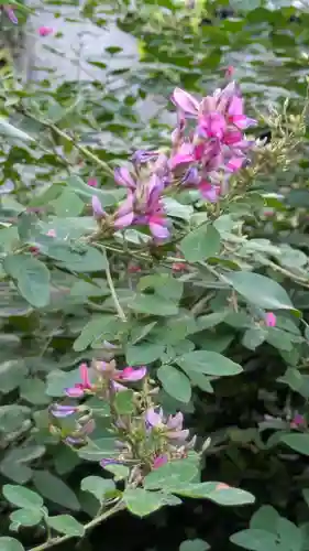 梨木神社(京都府)