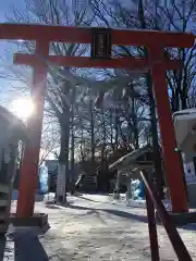 星置神社の鳥居