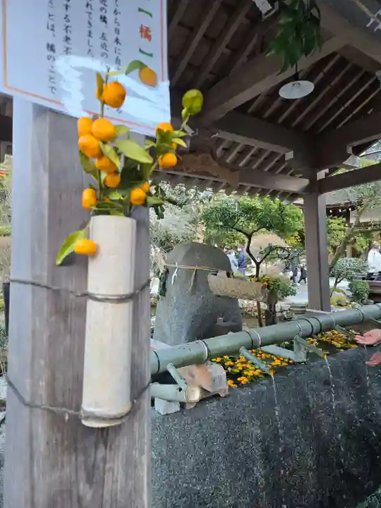 賀茂別雷神社(上賀茂神社)(京都府)