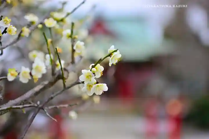 岡村天満宮(神奈川県)