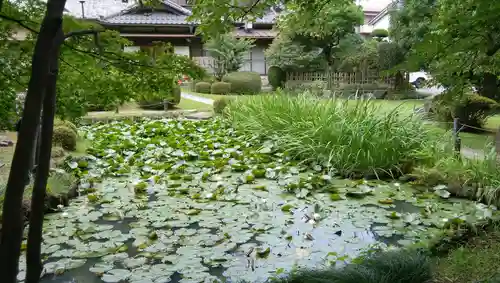 天台宗　長窪山　正覚寺の庭園