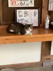 玉野御嶽神社の動物