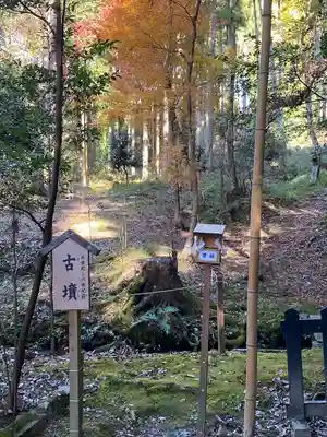 出雲大神宮(京都府)