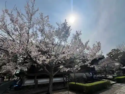 道成寺(和歌山県)