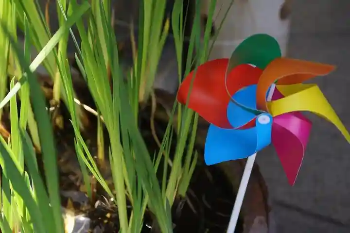 東海市熊野神社の手水舎