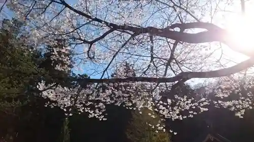 諏訪大社(長野県)
