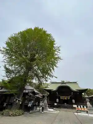 菊田神社の本殿・本堂