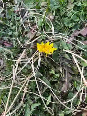 岩屋寺(京都府)