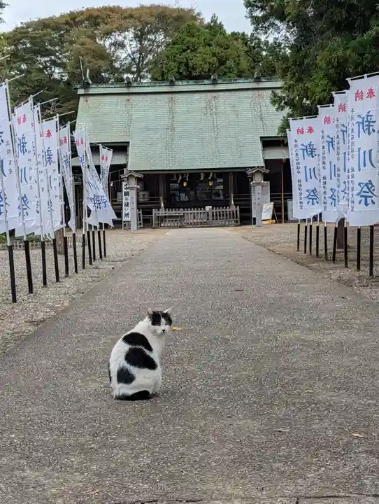 鎌数伊勢大神宮(千葉県)