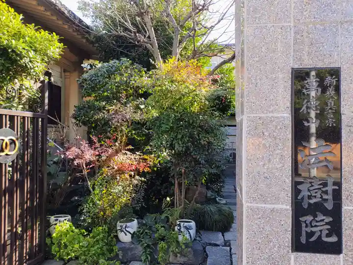 法樹院(東京都)