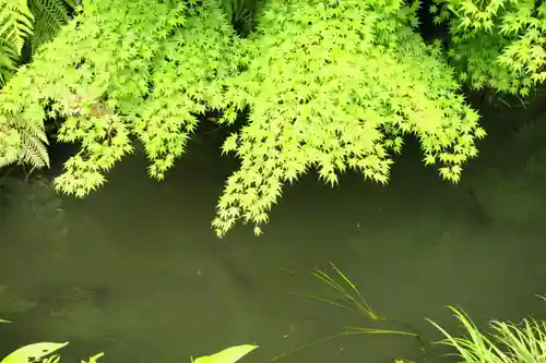杉本寺(神奈川県)