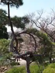 清水観音堂の庭園