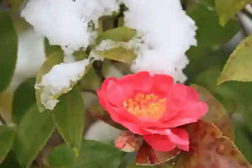 高屋敷稲荷神社の庭園