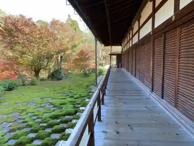 東福禅寺(東福寺)(京都府)