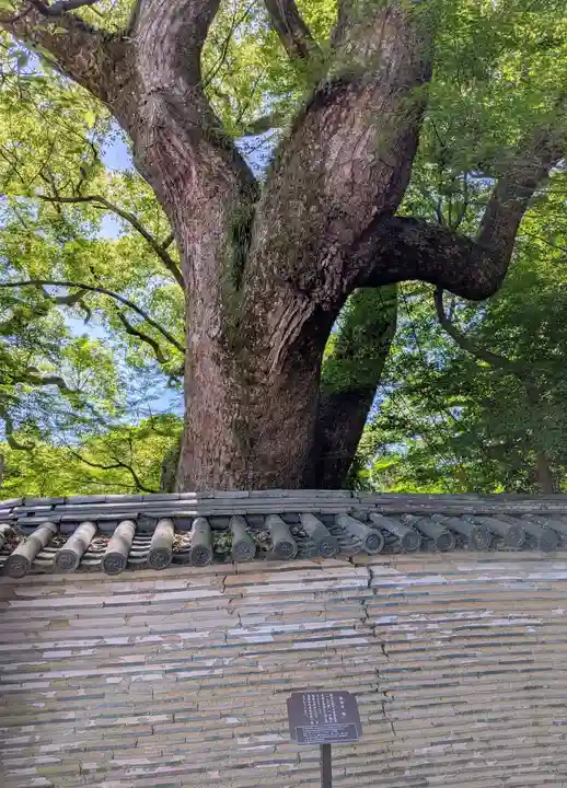 石清水八幡宮(京都府)