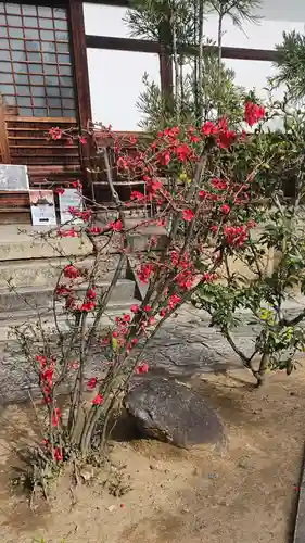 総見院(京都府)