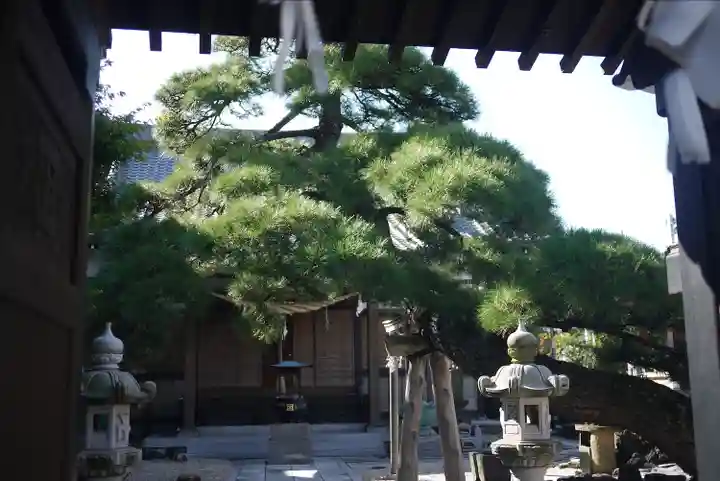 瑞光寺のその他建物