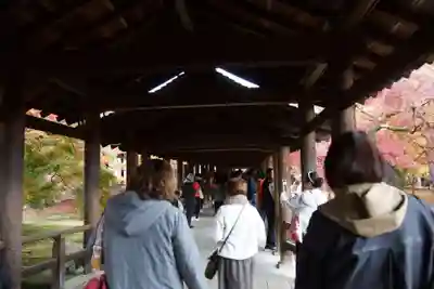 東福禅寺(東福寺)(京都府)