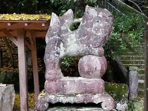 太歳神社の狛犬