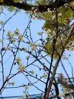 七宮神社(兵庫県)