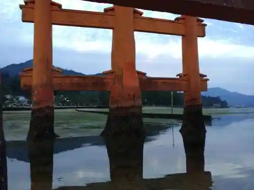 厳島神社の鳥居