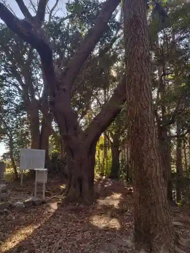 愛宕神社（渕ノ上）(宮城県)