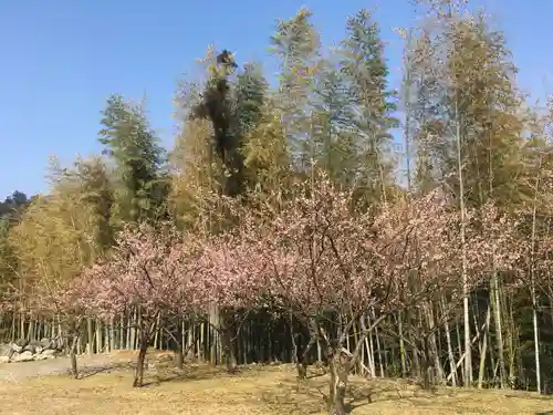 青岸渡寺の自然