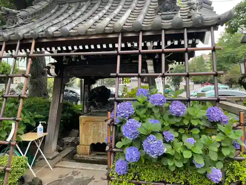 白山神社の手水舎