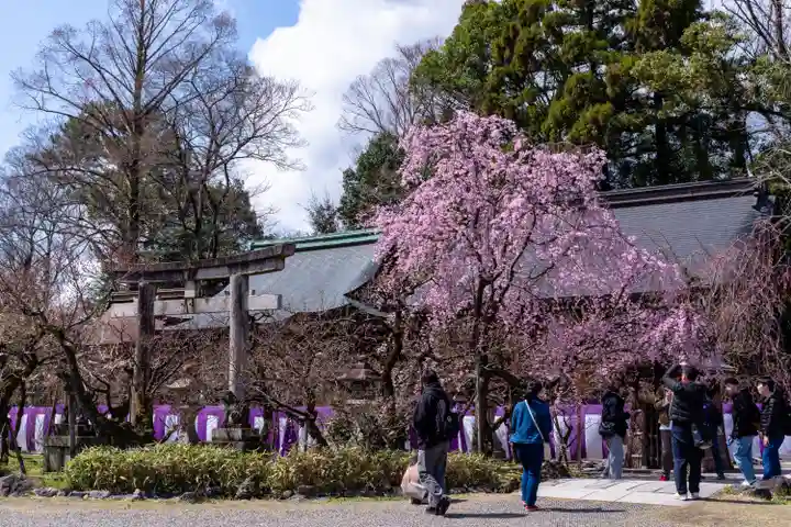 北野天満宮(京都府)
