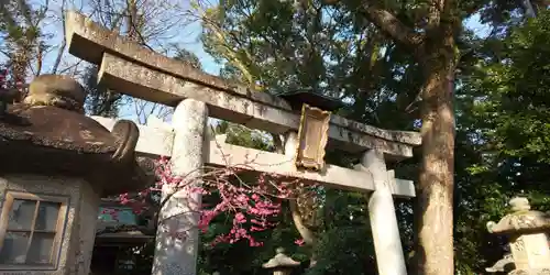 北野天満宮の鳥居