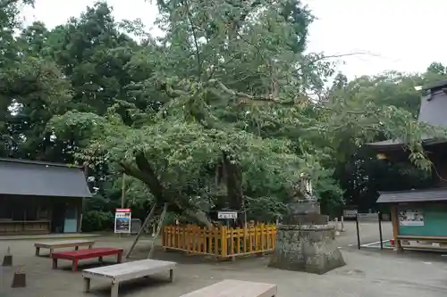 水戸八幡宮のその他建物