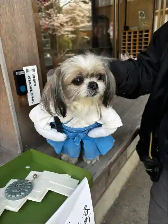 佐久奈度神社(滋賀県)