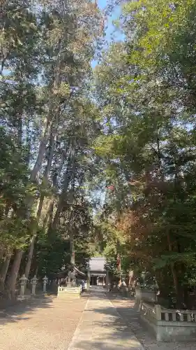 豊国神社の{uncategorized: "未分類", other: "その他", undefined: "問題あり", building: "その他建物", grave: "お墓", sacred_gate: "鳥居", guardian: "狛犬", statue: "像", buddha: "仏像", history: "歴史", nature: "自然", garden: "庭園", animal: "動物", pagoda: "塔", temizu: "手水舎", mountain_gate: "山門・神門", sanctuary: "本殿・本堂", subordinate: "末社・摂社", art: "芸術", scenery: "景色", jizo: "地蔵", ema: "絵馬", goshuin: "御朱印", omikuji: "おみくじ", items: "授与品その他", amulet: "お守り", goshuincho: "御朱印帳", eats: "食事", festival: "お祭り", votive_dance: "神楽", shichigosan: "七五三参", wedding: "結婚式", experience: "体験その他", initially: "初詣", around: "周辺", anti_infection: "感染症対策"}