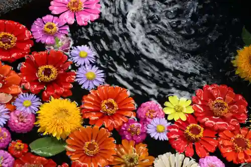 大鏑神社の手水舎