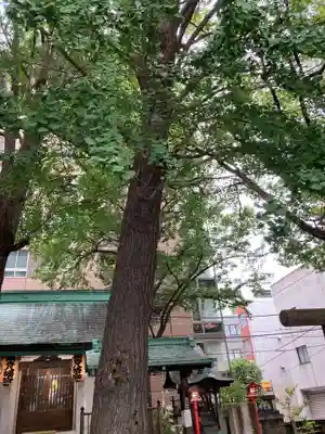 銀杏八幡宮の自然