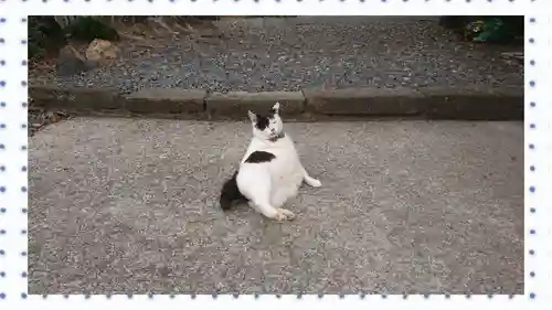 唐澤山神社(栃木県)