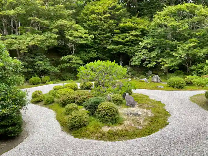 曼殊院門跡の庭園