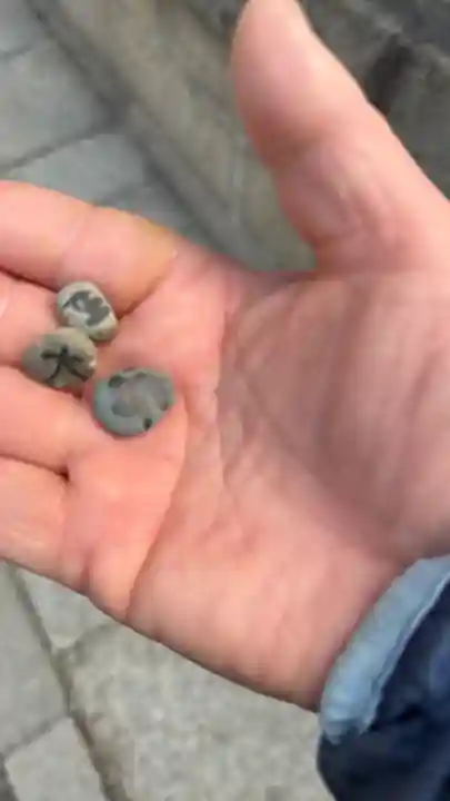 住吉大社(大阪府)