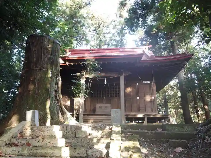 愛宕神社の本殿・本堂