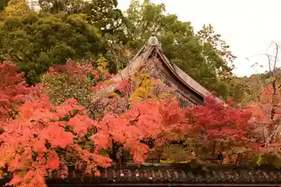 天授庵(京都府)