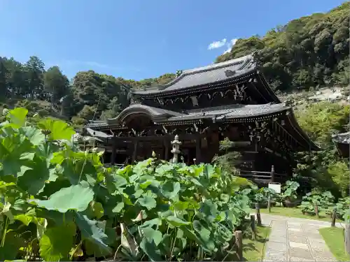 三室戸寺(京都府)