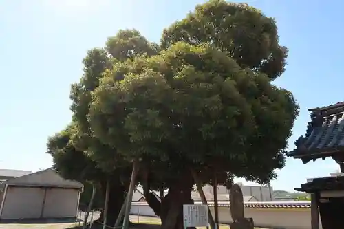 慈光寺(愛知県)
