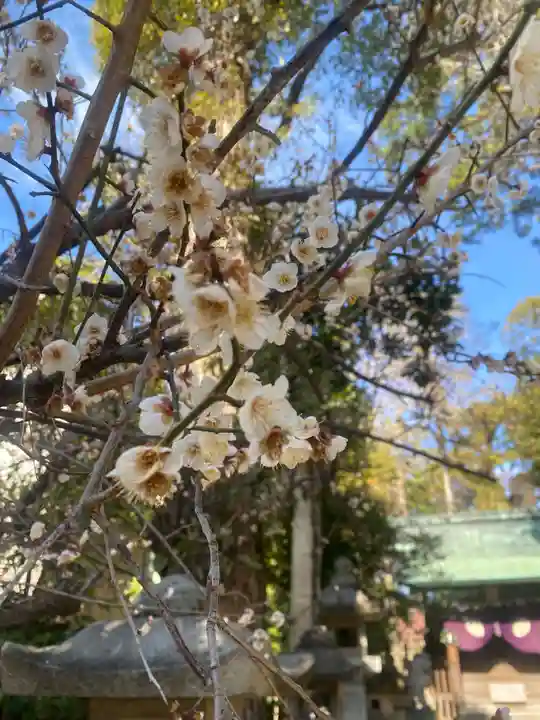 安久美神戸神明社(愛知県)