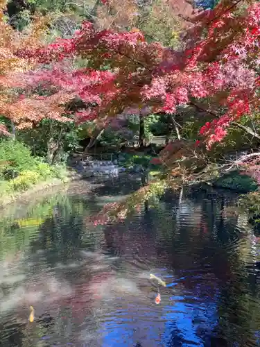 鶴岡八幡宮の庭園