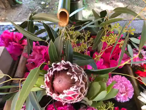 坂本八幡神社の手水